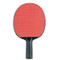 2-6-9 Spin-Speed-Control Rated Table Tennis Paddle