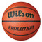 Women's Wilson Evolution Indoor Game Ball Composite Leather Basketball