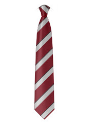 Rudston Primary School - Tie
