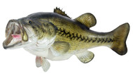 Largemouth Bass