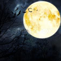 Intensive Full Moon Protection Spell ~ Repel Negativity, Evil, Adverse Influences 