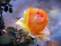 New moon Cast Beauty Blossoming Spell work to Flourish your Attractiveness