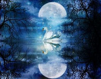 Swan Maiden spirit Money Fetcher Full moon Financial Transformation spell ~ Rags to Riches ~ Lifelong Wealth Security