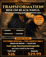 *October Special ~ Mysterious Magickal Raven Spirit Animal Powers Bestowed on You ~ Transformation & Rejuvenation ~ Clear What No Longer Serves You ~ Become Persuasive, Fearless & Successful
