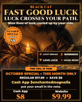 *October Special ~ Black Cat FAST Good Luck Candle Ritual ~ Attract Positive Fortune & Prosperity Quickly ~ Gambling Luck ~ Favorable Outcomes in Life, Love & Career ~ Lucky Black Cat Power