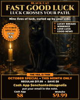 *October Special ~ Black Cat FAST Good Luck Candle Ritual ~ Attract Positive Fortune & Prosperity Quickly ~ Gambling Luck ~ Favorable Outcomes in Life, Love & Career ~ Lucky Black Cat Power