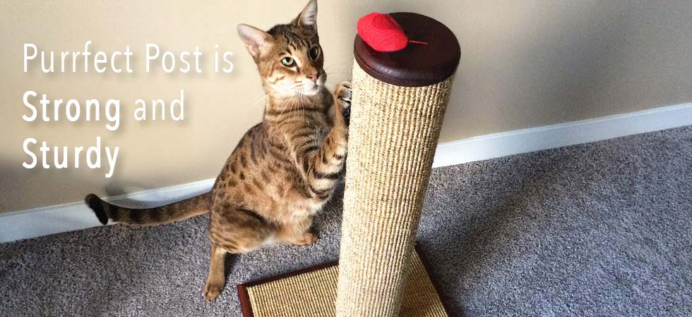 Purrfect Post Sisal Cat Scratching Posts Veterinarian Designed