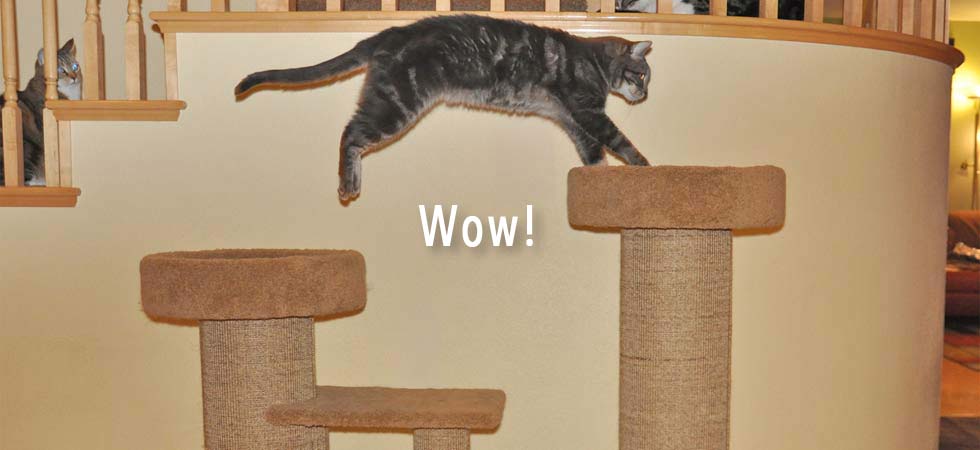 Purrfect Post Sisal Cat Scratching Posts Veterinarian Designed