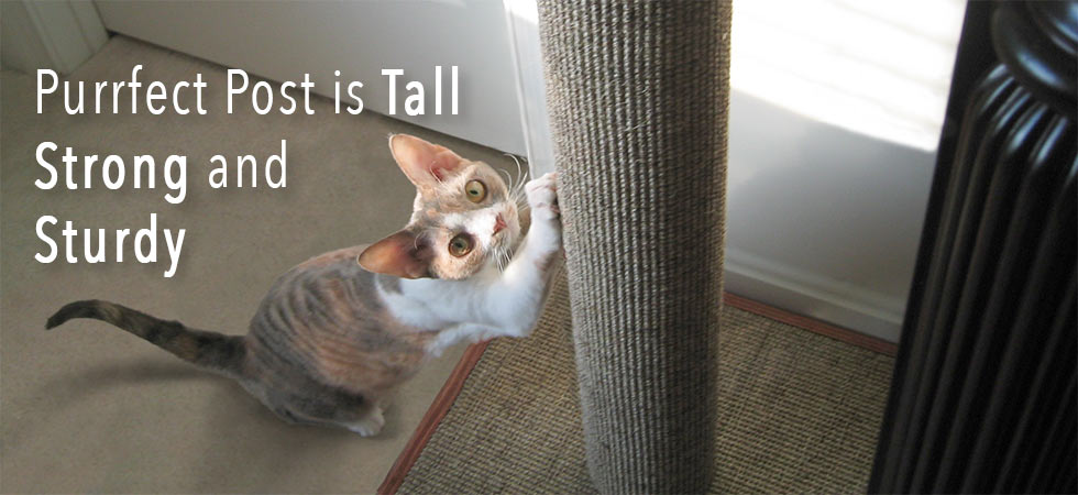 you & me sisal cat scratching post