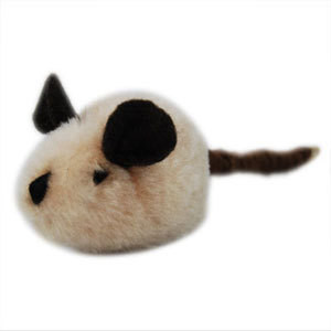 Play N Squeak Wild Flingdom The Purrfect Post