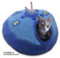 Cat in UFO Cat Cave