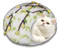 Kitty in Cherry Blossom Cat Cave
