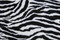 Zebra Muffin Throw Color