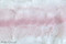 Pink Cloud Muffin Throw Color