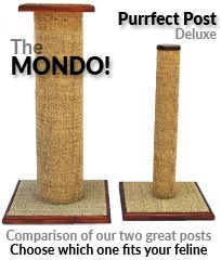 Post and Mondo size comparison