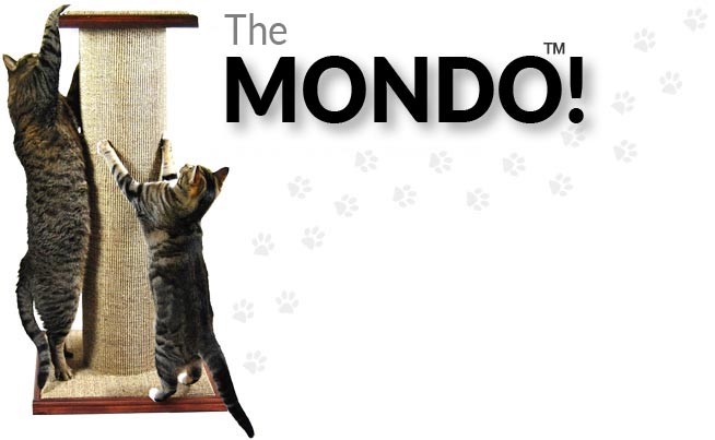 The MONDO™