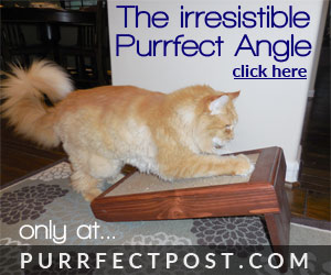 The Purrfect Angle provides your kitty with satisfying alternative scratching positions.