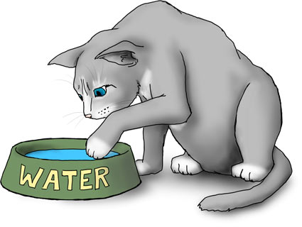cat pawing at water bowl