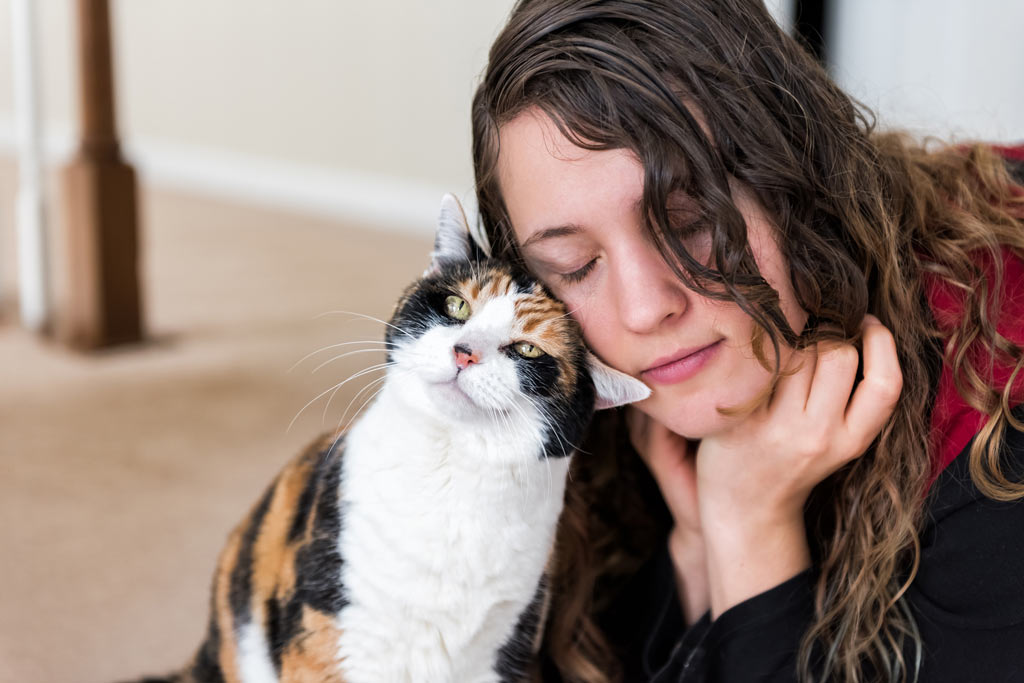 Learn how to show your cat love.