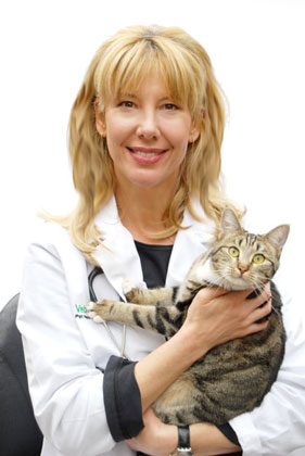 Dr. Christianne Schelling's love kitty cats drives her to make great products for cats.