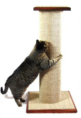 Choose a scratching post your cat will love.