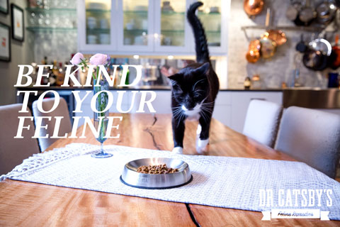 Be kind to your feline with Dr. Catsby's Whisker Relief Bowl