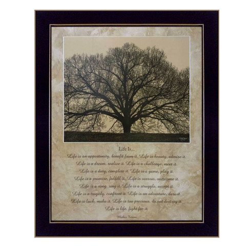 JJ463A-Life-Is-12x16