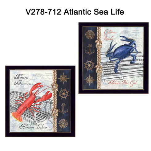 V278-712-Atlantic-Sea-Life