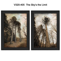 V320-405-The-Sky's-the-Limit