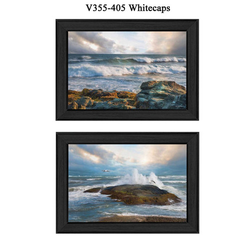 V355-405 