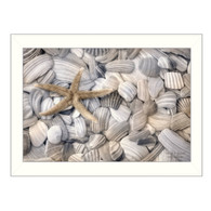 LD924-712W “Starfish and Seashells”