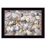 LD924-712 “Starfish and Seashells”