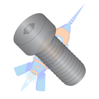 1/2-13 x 1 Coarse Thread Low Head Socket Cap Screw Plain