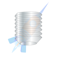 8-36 x 1/4 Fine Thread Socket Set Screw Cup Plain