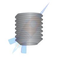 1/4-20 x 1/4 Coarse Thread Socket Set Screw Flat Point Plain Imported