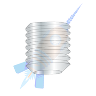 1/4-28 x 1/4 Fine Thread Socket Set Screw Flat Point Plain Imported