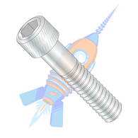 1/4-20 x 1 Socket Head Cap Screw Zinc d