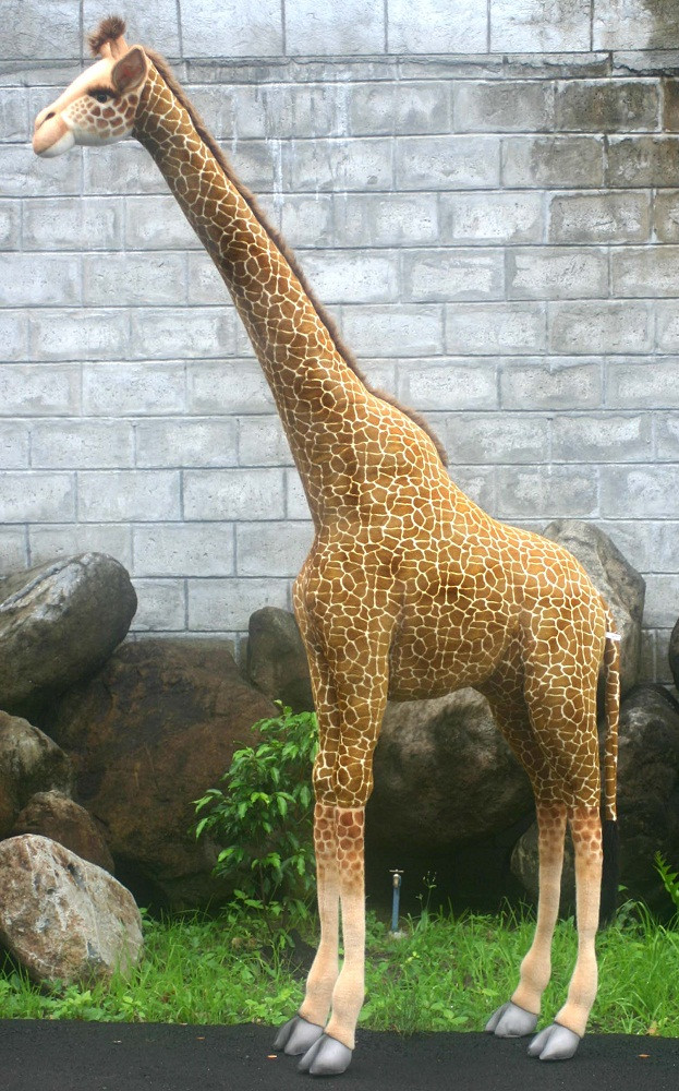 hansa giraffe