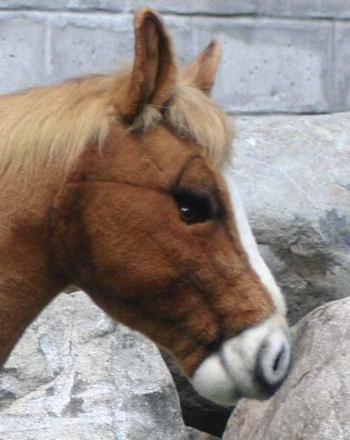 life size plush horse