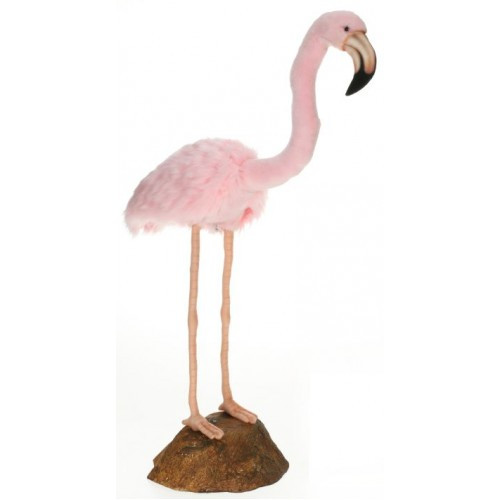 hansa flamingo