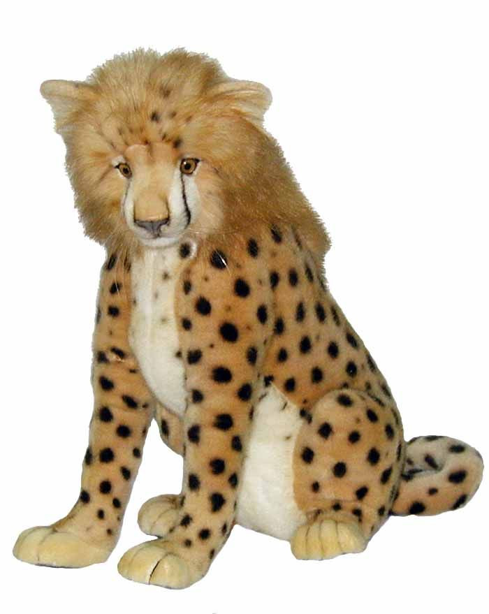 hansa cheetah