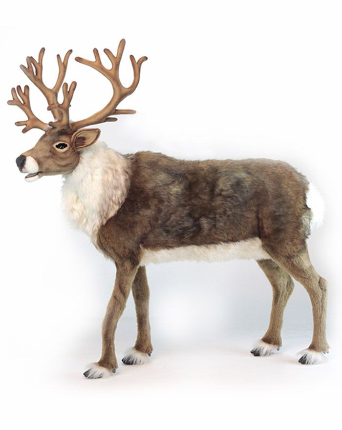hansa reindeer