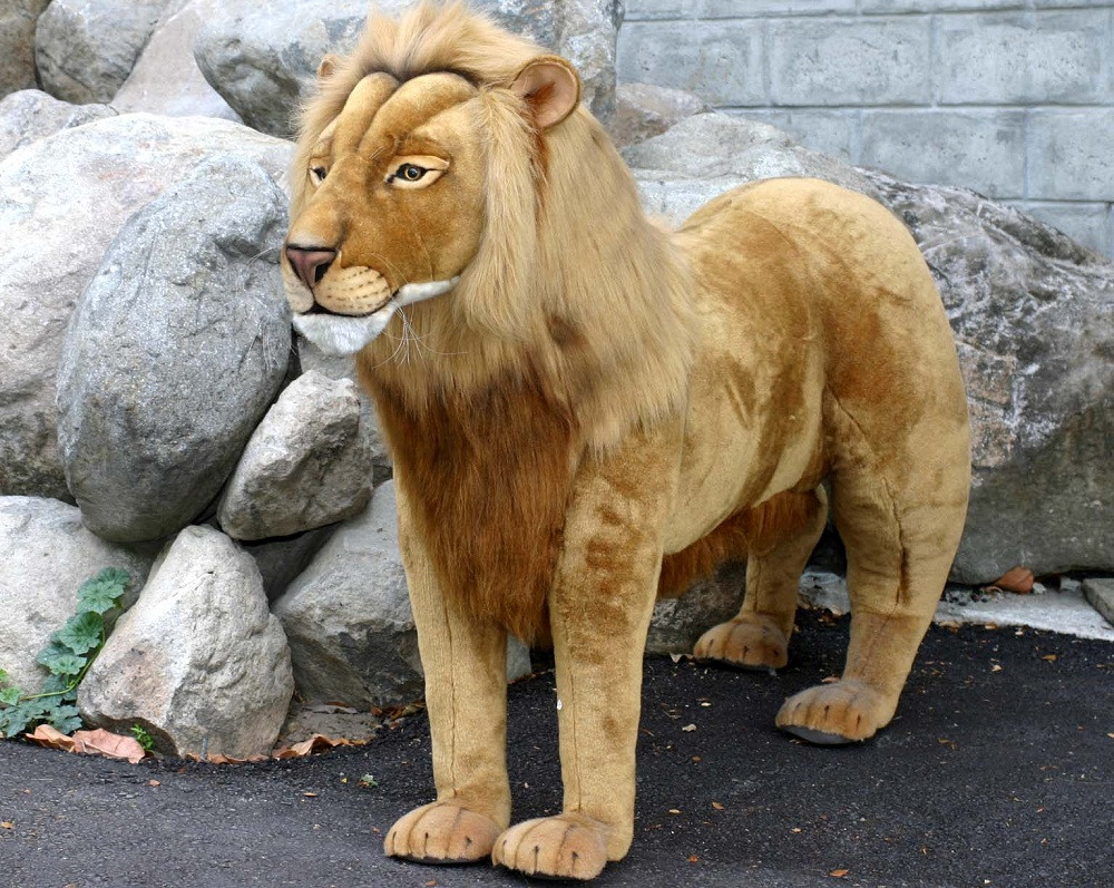 hansa lion