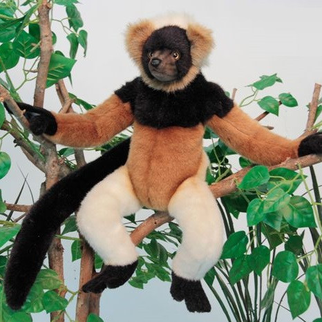 Hansa Madagascar Lemur - 13" - Endeavour Toys