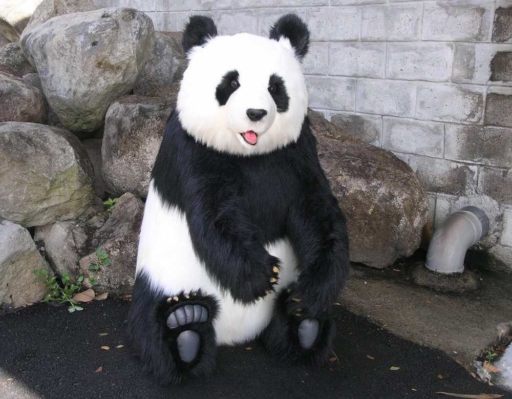 hansa panda