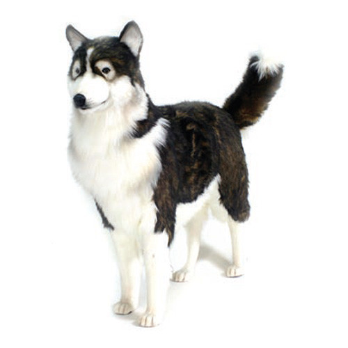 Hansa Husky Dog, Life Size 46''L Endeavour Toys