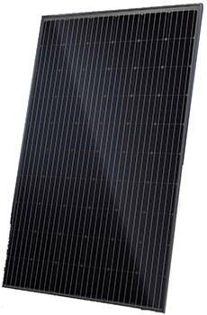 Canadian Solar CS6K-275M