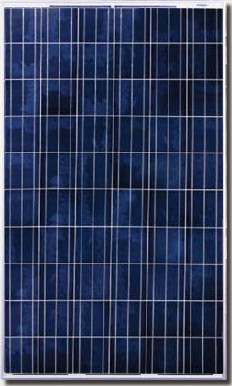 Canadian Solar Cs6p 255p 255w Poly Solar Panel Solaris