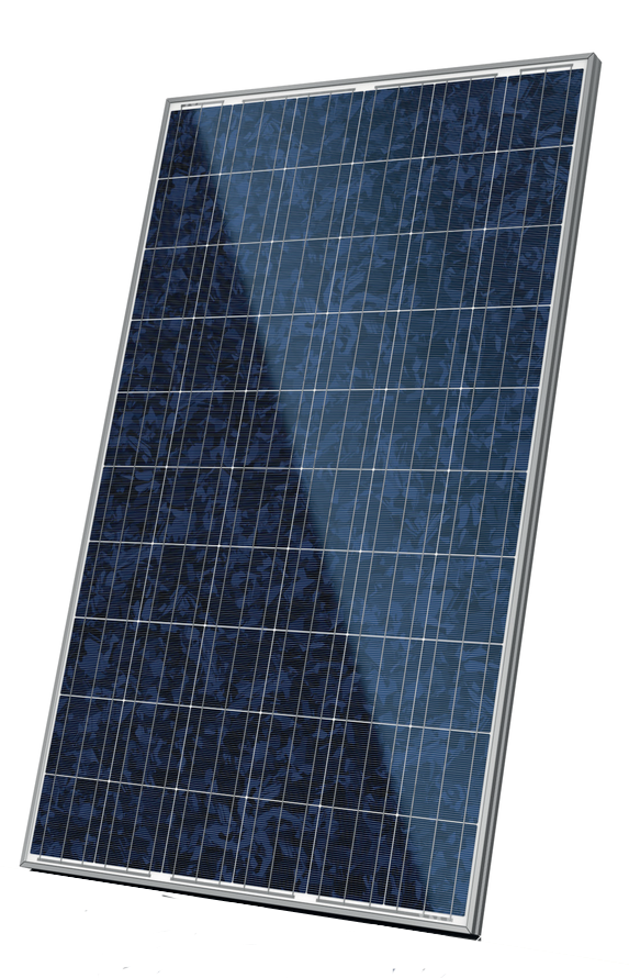 Canadian Solar Cs6p 265p 265w Poly Solar Panel Solaris
