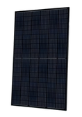Q.PEAK DUO-BLK-G5-315 